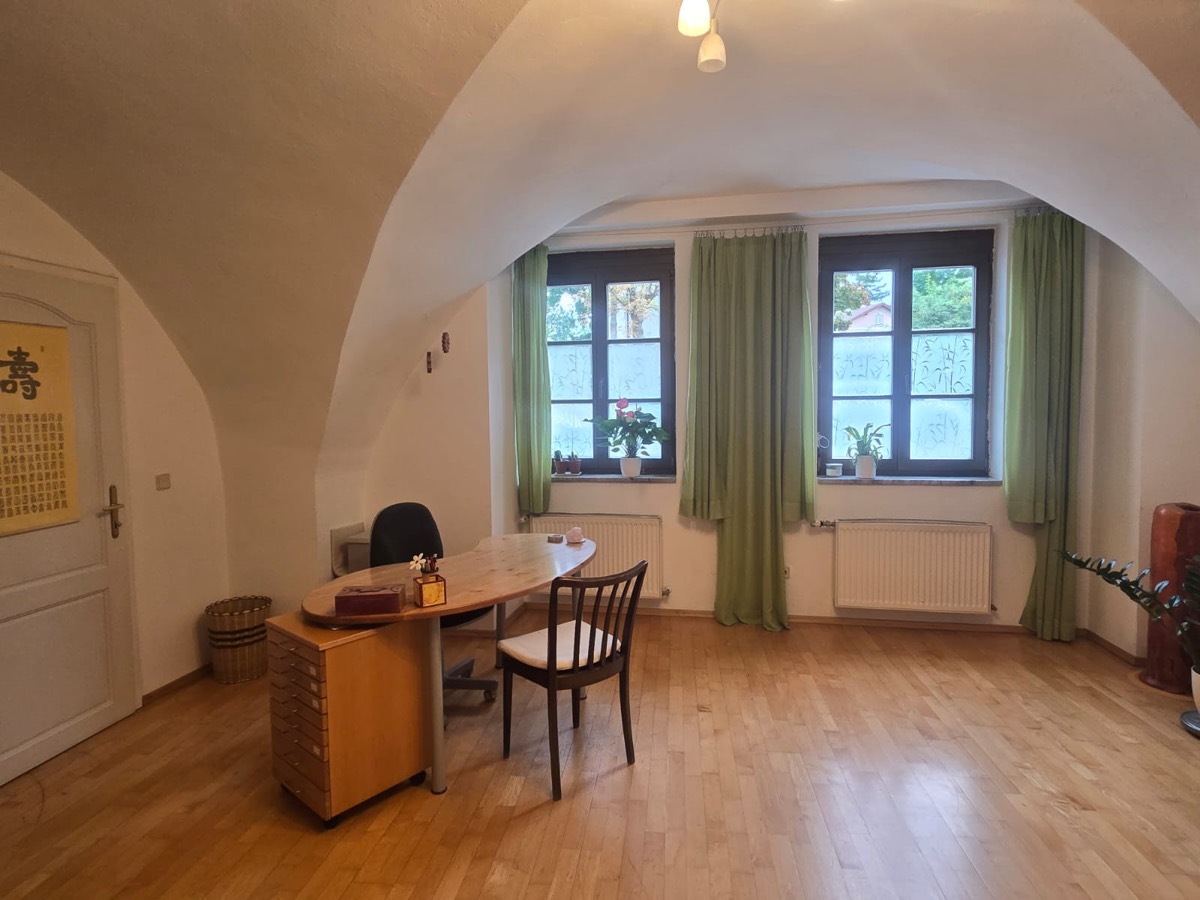 Heller Praxisraum in der Achsenaugasse mit Gewölbedecke, ovalem Arbeitstisch und Fenstern zum Garten